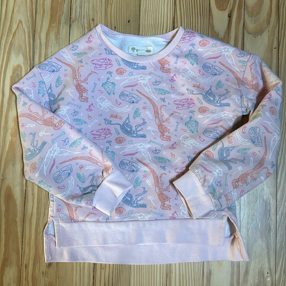 Tucker + Tate Dinosaur sweatshirt